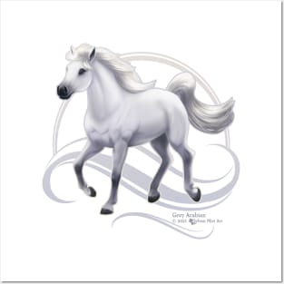 Grey Arabian Horse Posters and Art